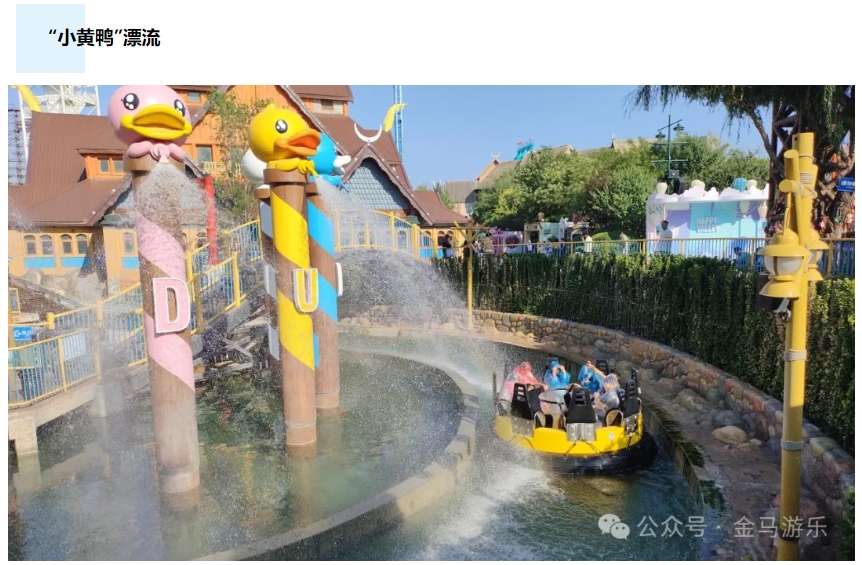 NG娱乐