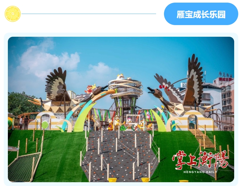 NG娱乐