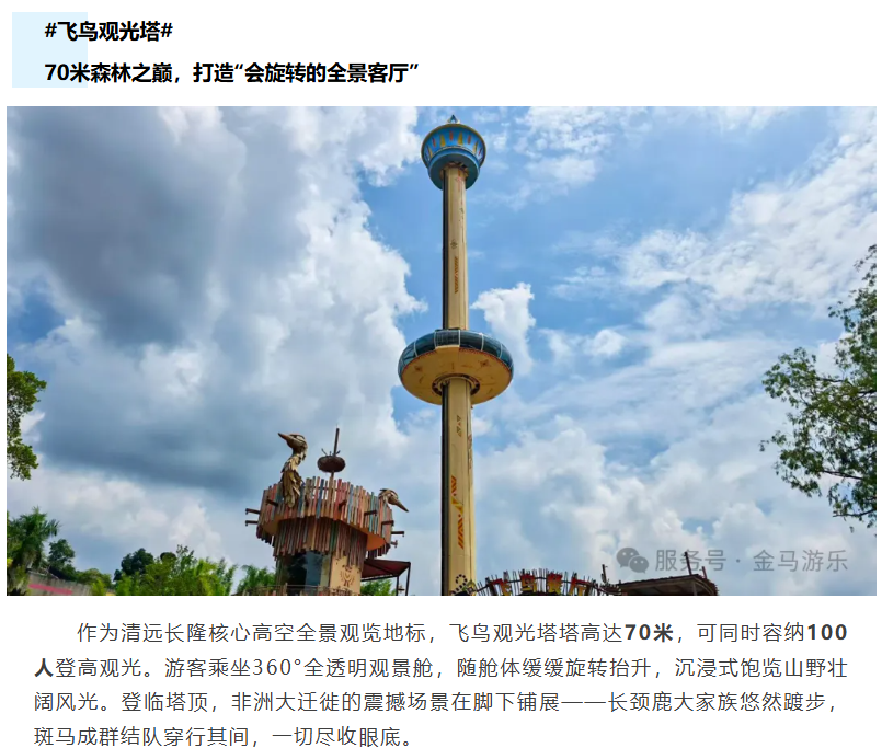 NG娱乐